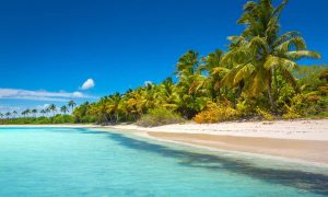 Isla Saona- Destiny caribbean Tours