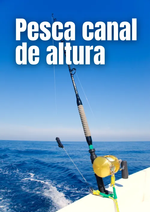 destinycaribbean tours excursion (17)