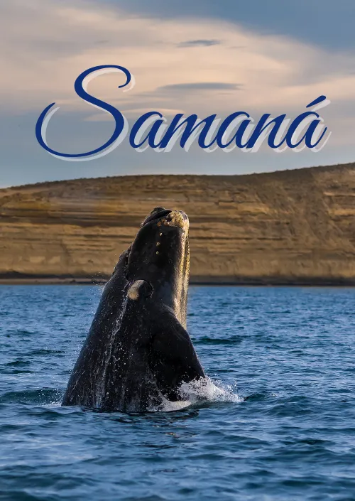 Excursion en Samana Punta Cana Destiny Caribbean Tours